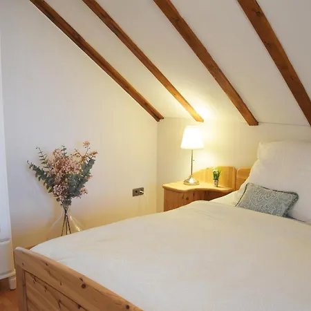 Galeriewohnung Mit Blick In Den Schwarzwald Todtmoos Extérieur photo