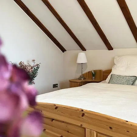 Galeriewohnung Mit Blick In Den Schwarzwald Todtmoos Extérieur photo